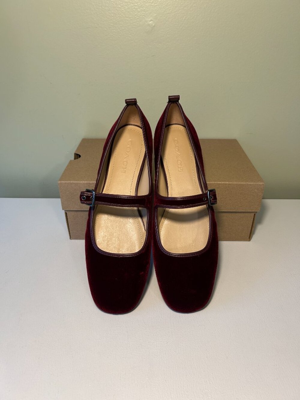 Coach Women's C Rivet Velvet Mary Janes